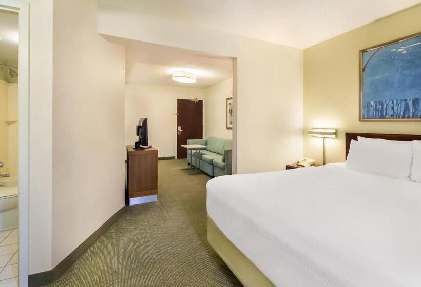 스탠다드 스튜디오 킹침대, Springhill Suites By Marriott Pittsburgh Washington