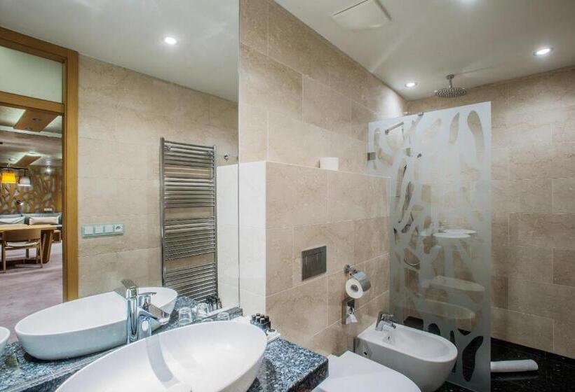 آپارتمان لوکس 1 خوابه, Wellness Hotel Step   Czech Leading Hotels