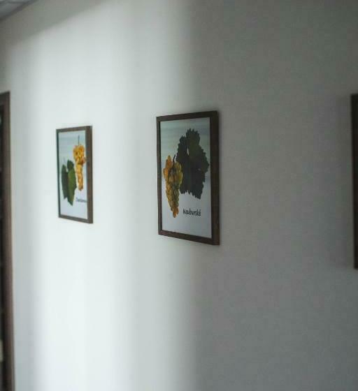 اتاق استاندارد, Apartmány Pemag Mikulov