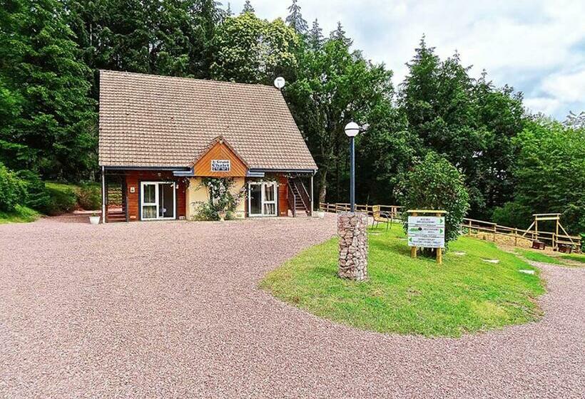 Номер Стандарт, Du Côté De Chez Sam