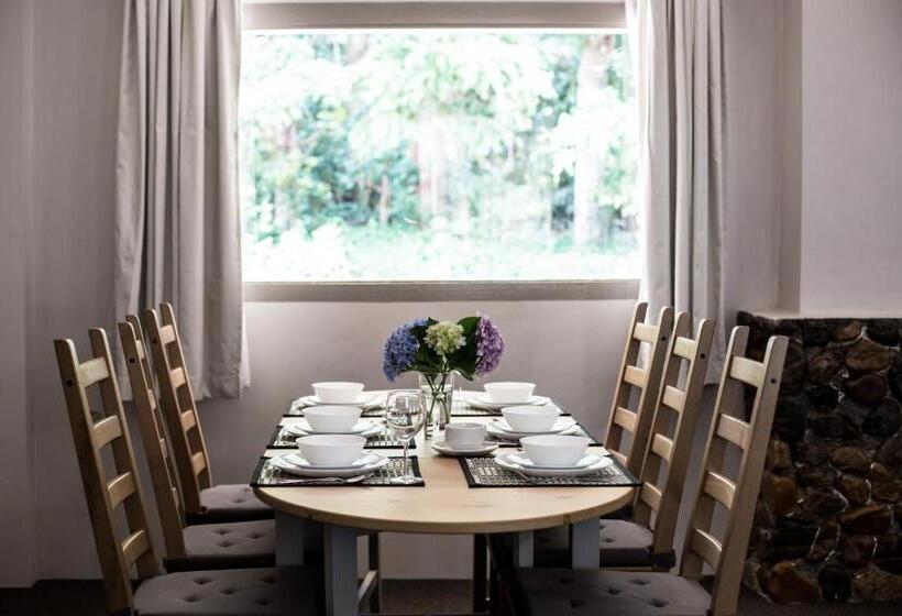 패밀리 스위트, Tall Trees Motel Mountain Retreat