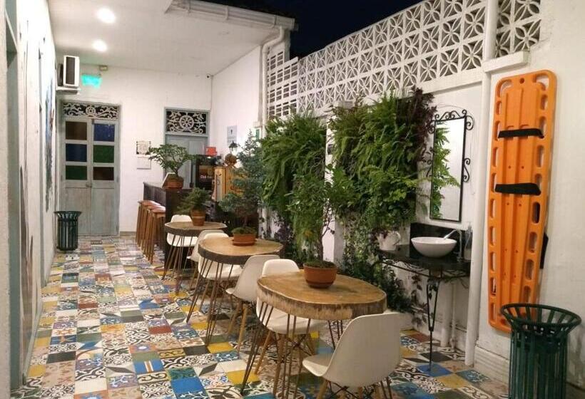 إستوديو سوبيريور, Moonshine Boutique Hostal