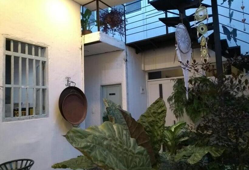 غرفة قياسية, Moonshine Boutique Hostal