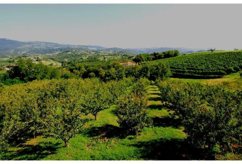 Люкс, Tenuta Fortelongo