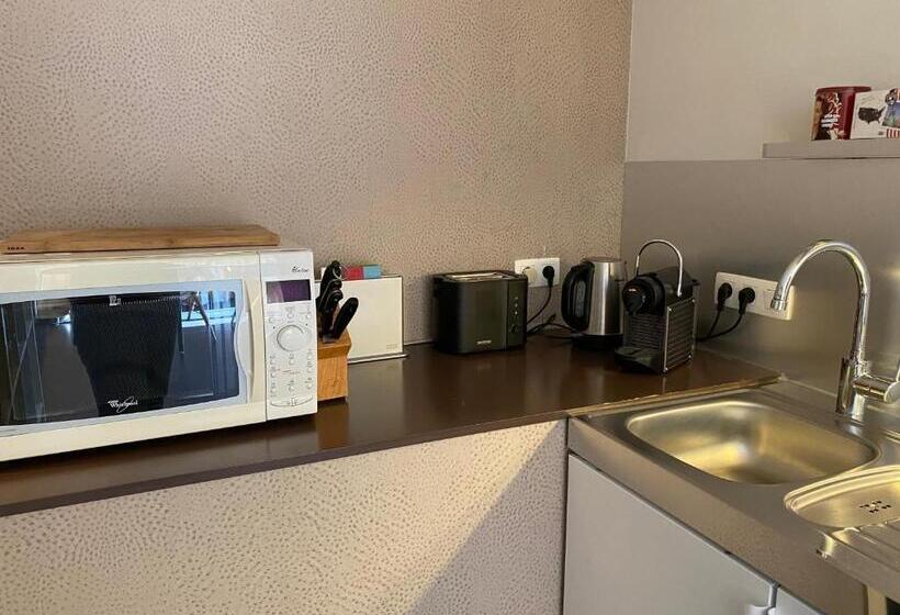 Студио Стандарт с Террасой, Studio & Appartement Au Lac