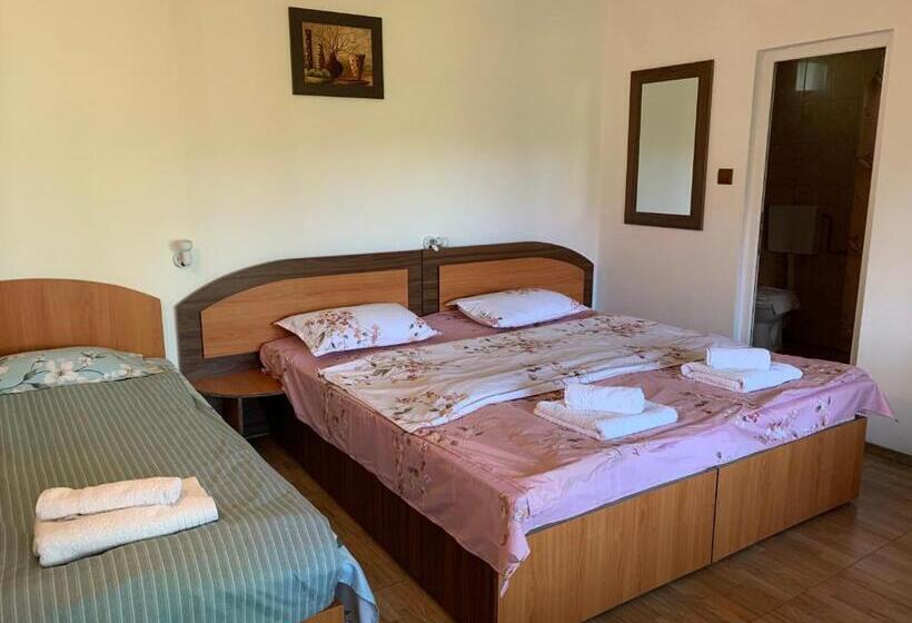 اتاق استاندارد سه نفره, Casa Palaghia
