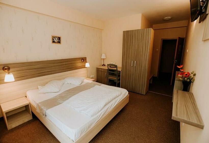 اتاق استاندارد با چشم‌انداز دریاچه, Guest House Lacul Linistit