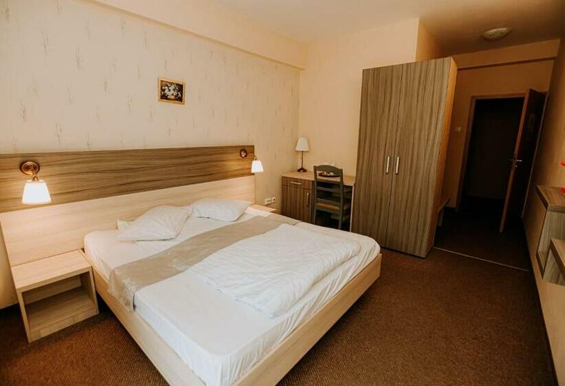 اتاق استاندارد با چشم‌انداز دریاچه, Guest House Lacul Linistit