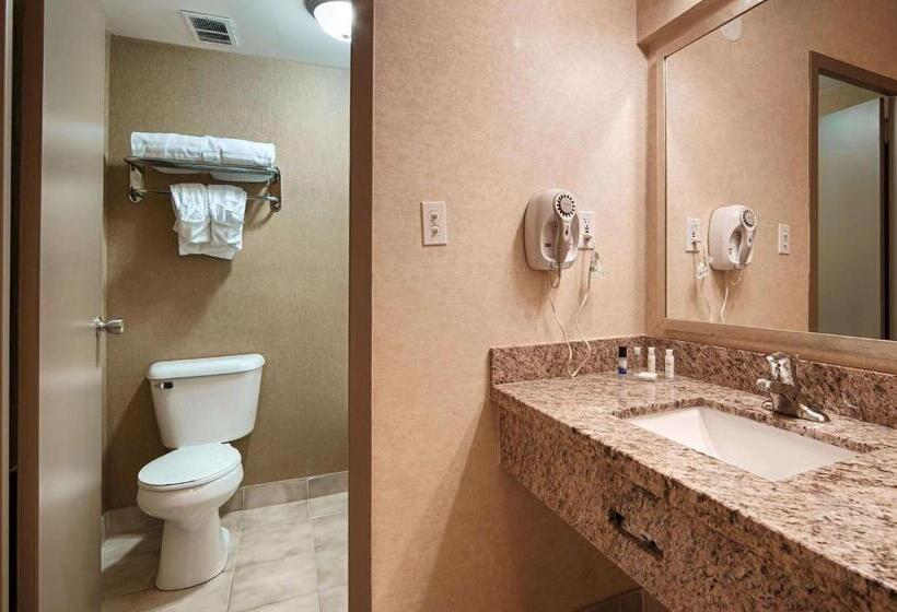 Номер Стандарт, Best Western Plus Durham Hotel & Conference Centre