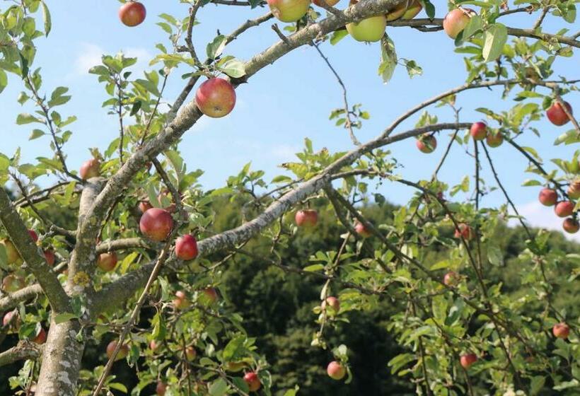 침실 1개 테라스 아파트, Schwoererhof