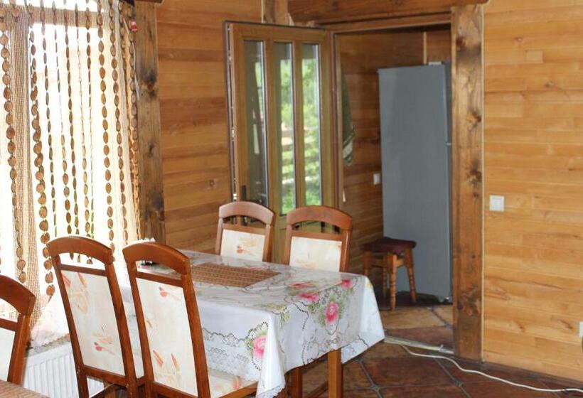 标准间, Cottage U Yaremy Mykulychyn