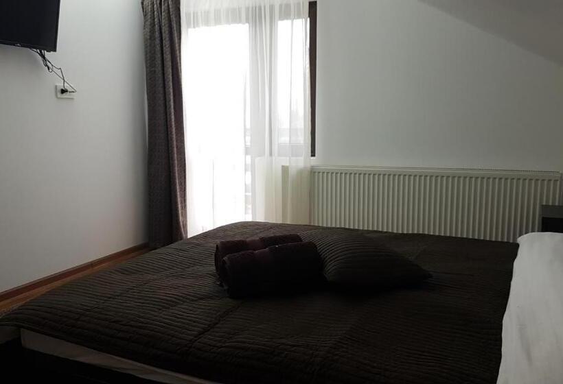 Номер Стандарт, Pensiunea Casa Runcu Buzau