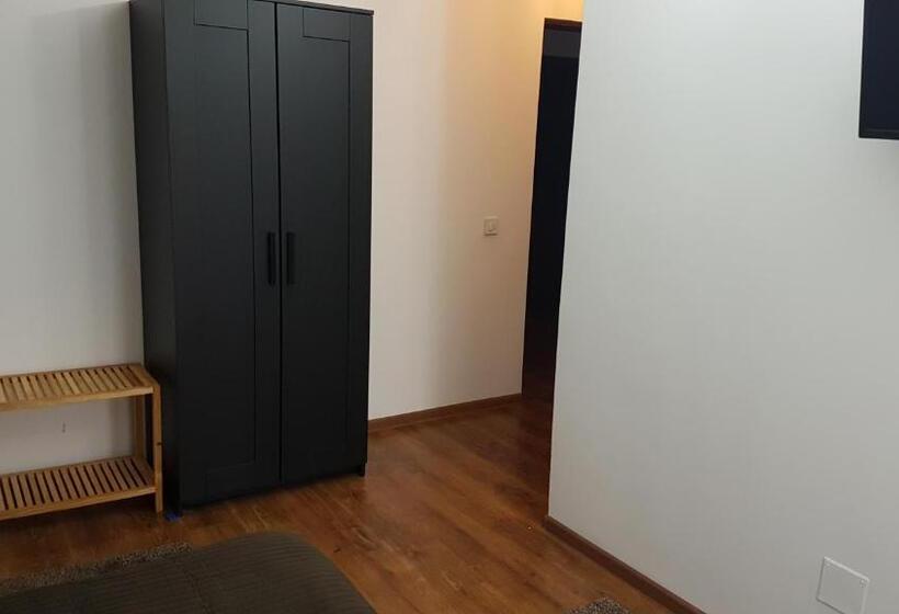 Номер Стандарт, Pensiunea Casa Runcu Buzau