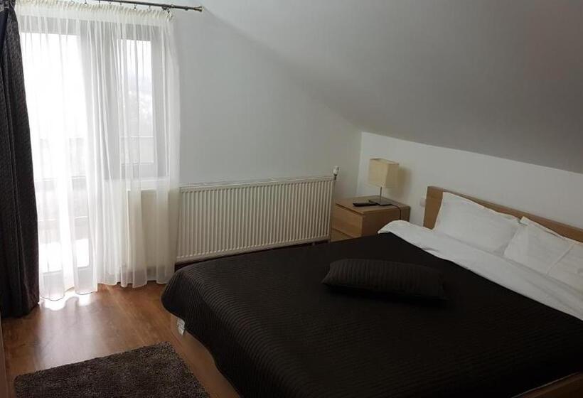 Дом 4 Спальни, Pensiunea Casa Runcu Buzau