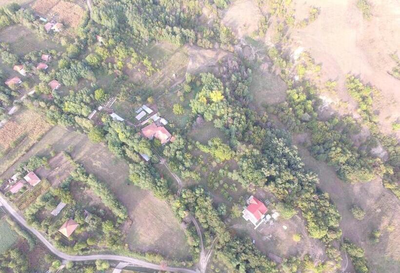 Дом 4 Спальни, Pensiunea Casa Runcu Buzau