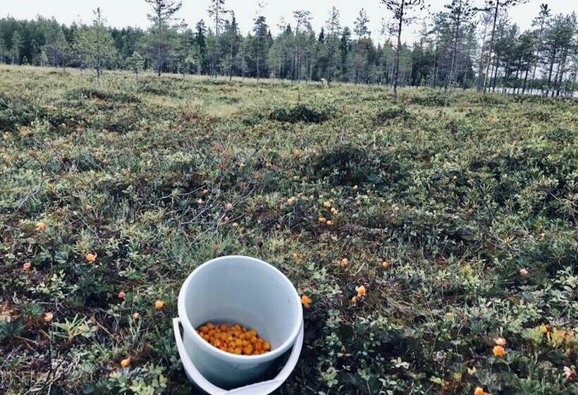 Номер Стандарт Вид на Озеро, Metsa Kolo