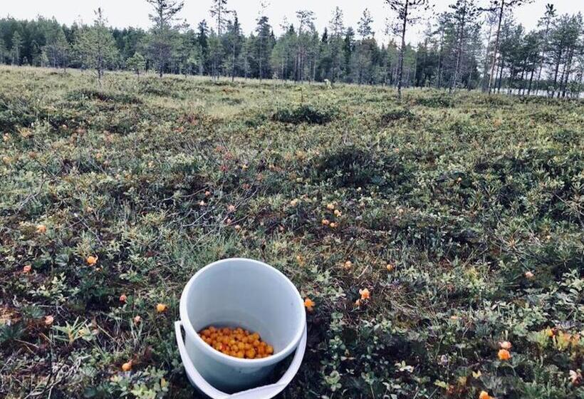 Шале 1 Спальня, Metsa Kolo