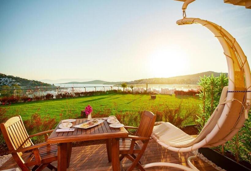 اتاق لوکس, Baia Bodrum
