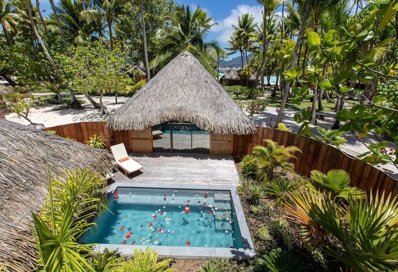 ویلای یک اتاق خوابه با استخر شنا, Le Bora Bora By Pearl Resorts
