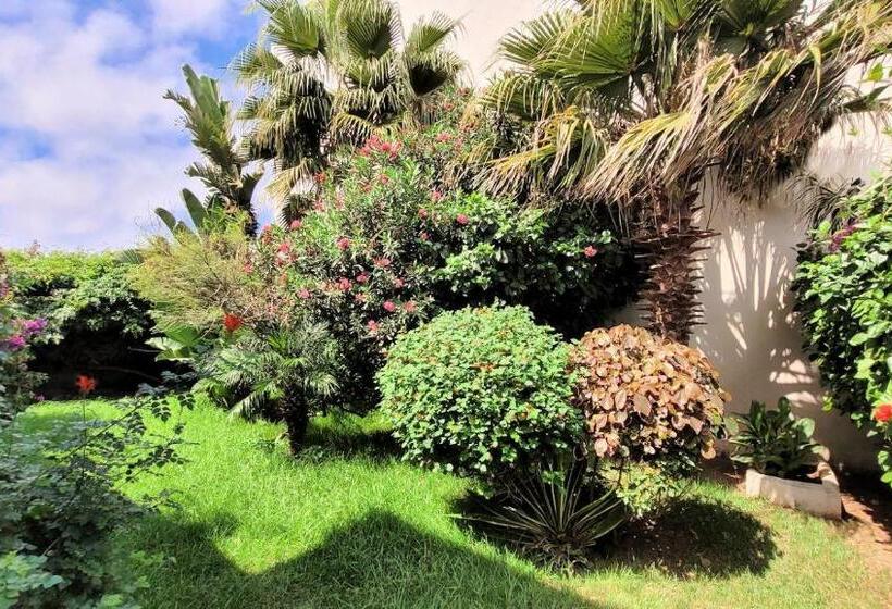 شقة غرفة واحدة مزودة بتراس, Maison De La Lagune