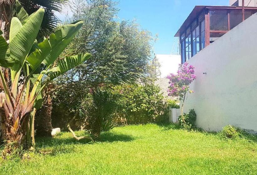 شقة غرفة واحدة مزودة بتراس, Maison De La Lagune