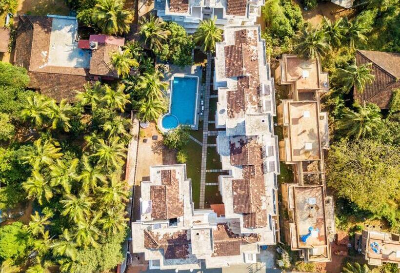 استودیوی استاندارد, Resort Paloma De Goa