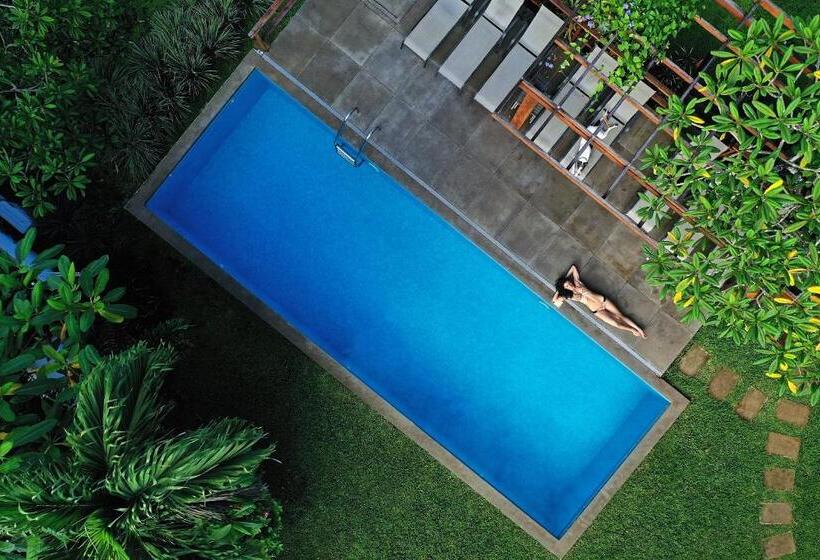 Студия Стандарт Вид на Море, Casa Frangipani