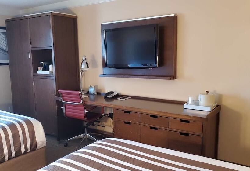 חדר סטנדרט שתי מיטות זוגיות, Waterloo Suites