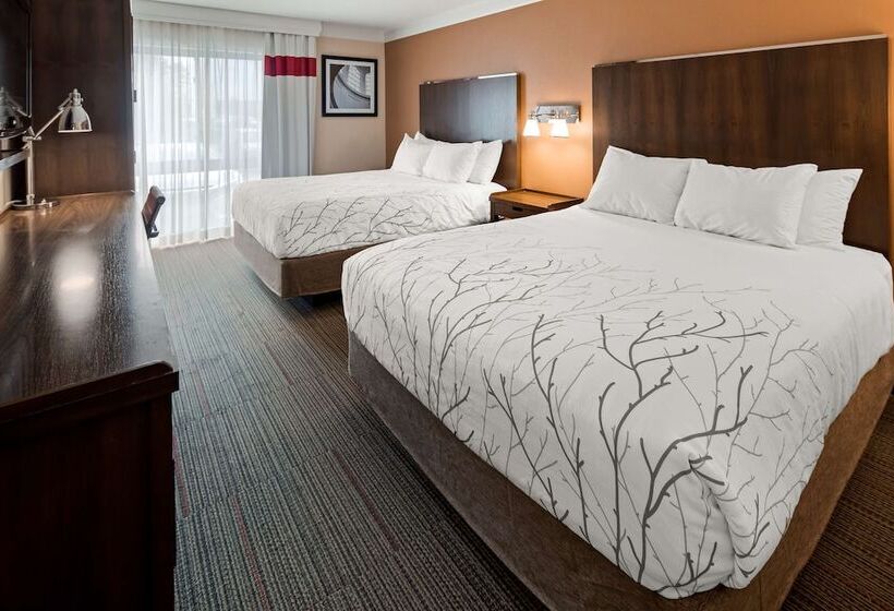 Номер Стандарт 2 Двуспальные Кровати, Waterloo Suites