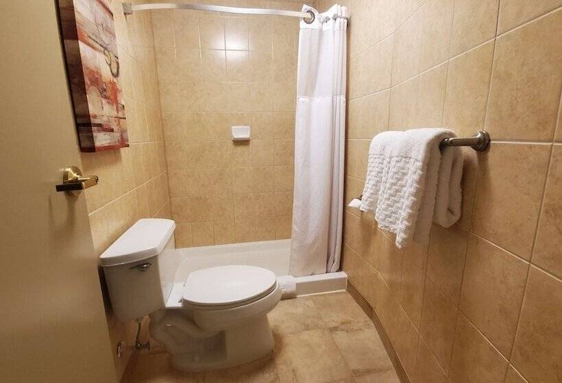 סוויטה עם ג'קוזי, Waterloo Suites