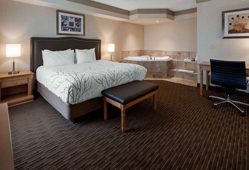 סוויטה עם ג'קוזי, Waterloo Suites