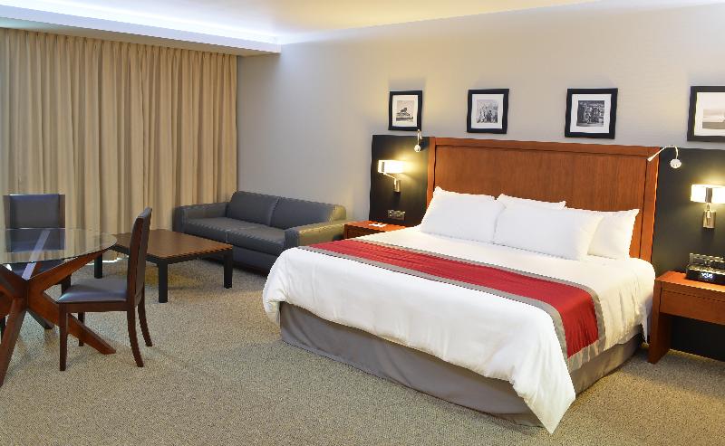 סטודיו סטנדרט, מיטה זוגית, Radisson Poliforum Plaza Hotel Leon