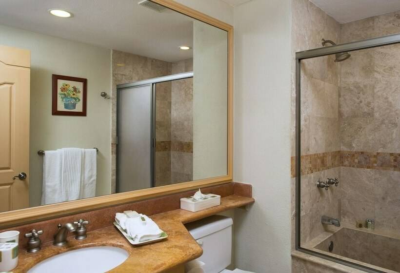ガーデンビューデラックスルーム, Villa La Estancia Beach Resort & Spa