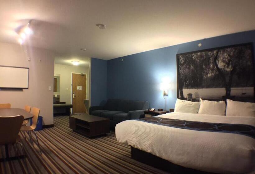 商务房间, Super 8 By Wyndham Fort Frances