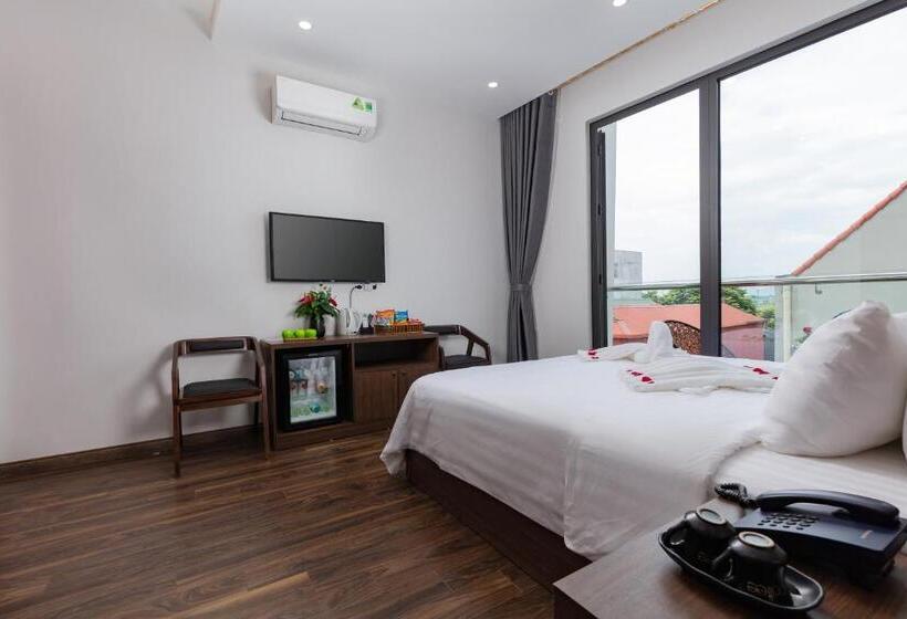 اتاق استاندارد با تخت بزرگ, Airport Classic Hotel & Travel