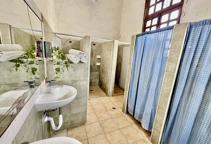 Cama em Quarto Compartilhado, Hostal Zocalo   Hostel
