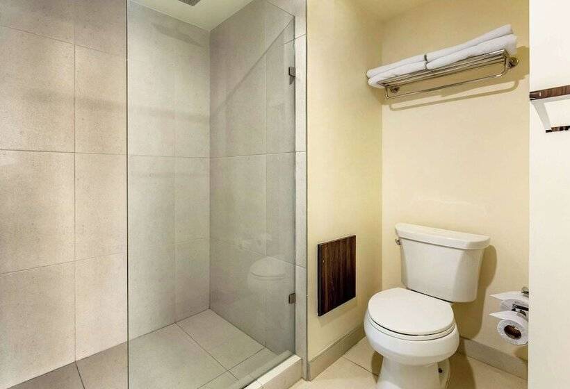 اتاق استاندارد, Quality Inn Chihuahua San Francisco