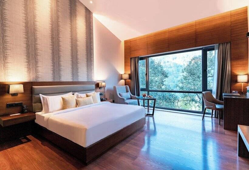 豪华湖景房, The Rosefinch Sarovar Portico