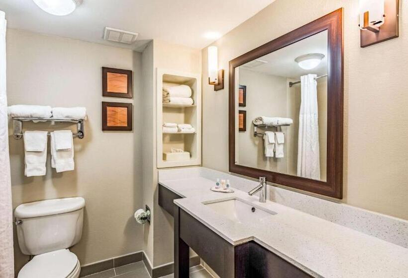 Camera Standard Letto King, Comfort Inn & Suites Chattanooga West   Lookout Mountain
