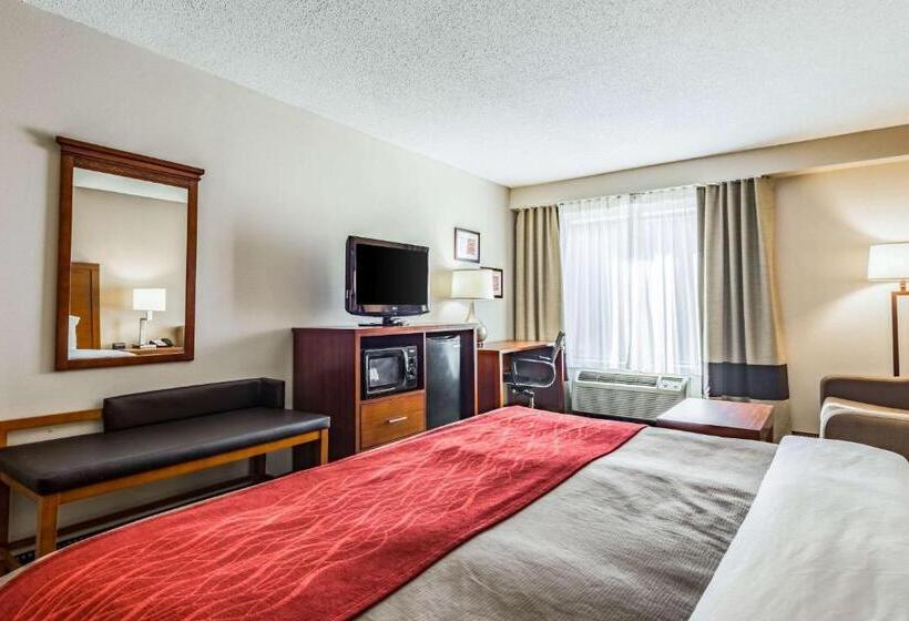 Camera Standard Letto King Accessibile ai persone con mobilità ridotta, Comfort Inn & Suites Chattanooga West   Lookout Mountain