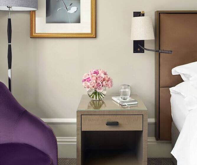 اتاق استاندارد با چشم‌انداز باغ, Hyatt Regency London The Churchill