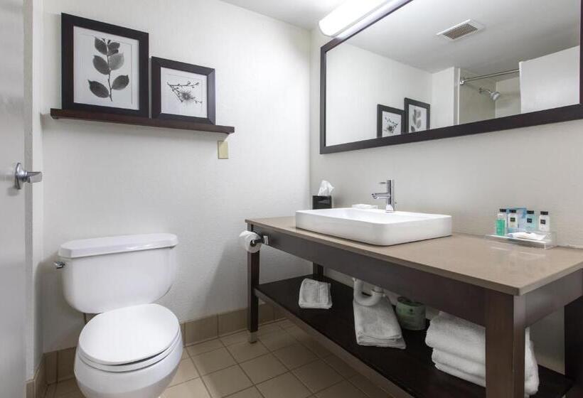 Студио Стандарт Кровать Кинг, Country Inn & Suites By Radisson, Lake Norman Huntersville, Nc
