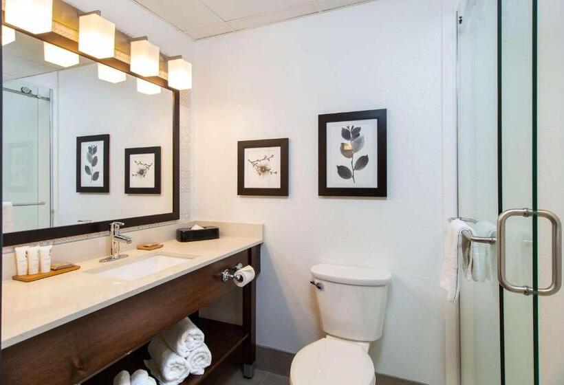 Люкс Адаптированный для Инвалидов, Country Inn & Suites By Radisson, Rapid City, Sd