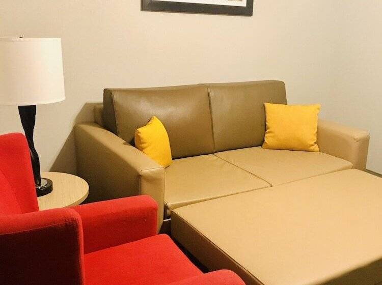 Люкс Адаптированный для Инвалидов, Country Inn & Suites By Radisson, Warner Robins, Ga