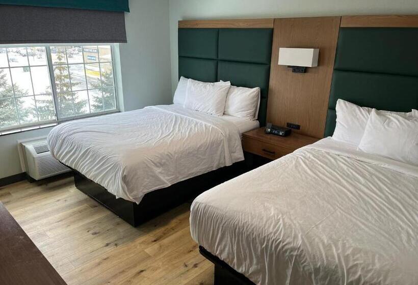 스위트, Wingate By Wyndham