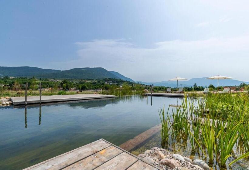 Четырехместный Номер Стандарт, Casa Viva