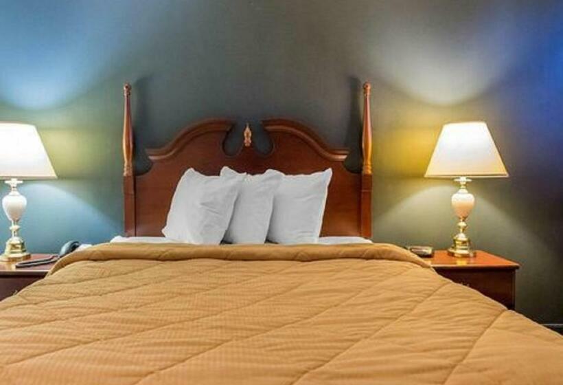 标准间, Econo Lodge