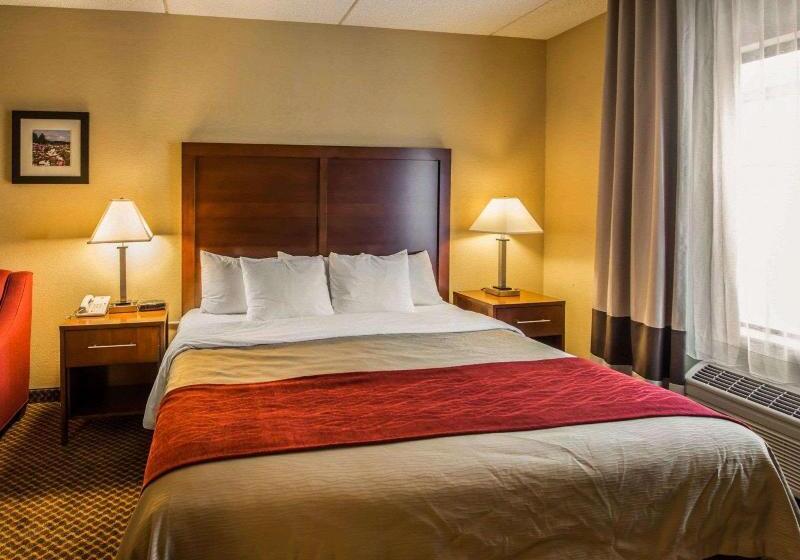 Номер бизнес-класса, Comfort Inn & Suites