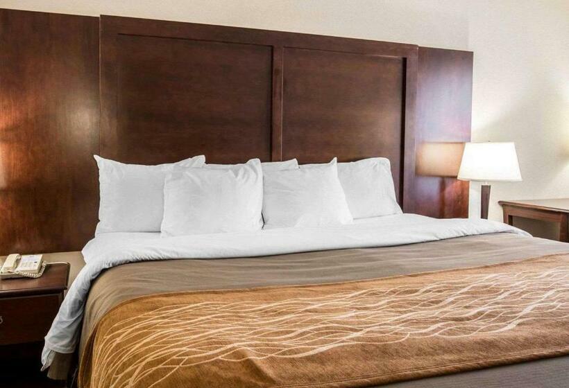 キングサイズベッドのスタンダードルーム, Comfort Inn & Suites At I 85
