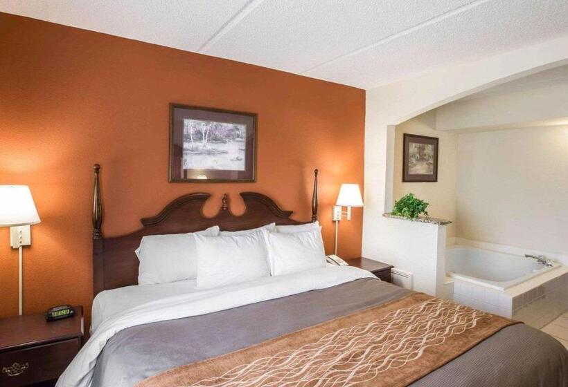 キングサイズベッドのスイートルーム, Comfort Inn & Suites At I 85